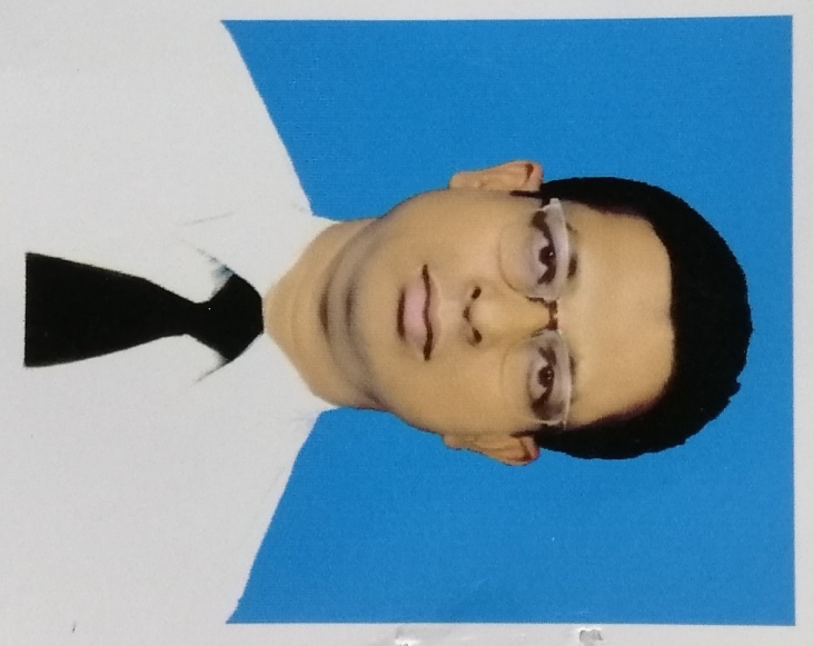 চেয়ারম্যানের ছবি